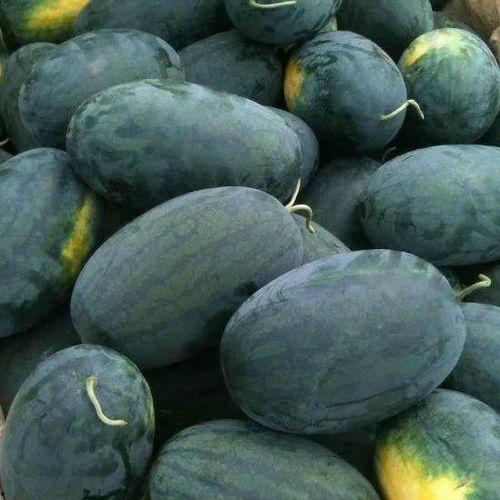 郯城吃瓜王,揭秘瓜界传奇人物