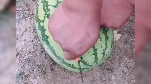 带货翻车现场吃瓜原视频